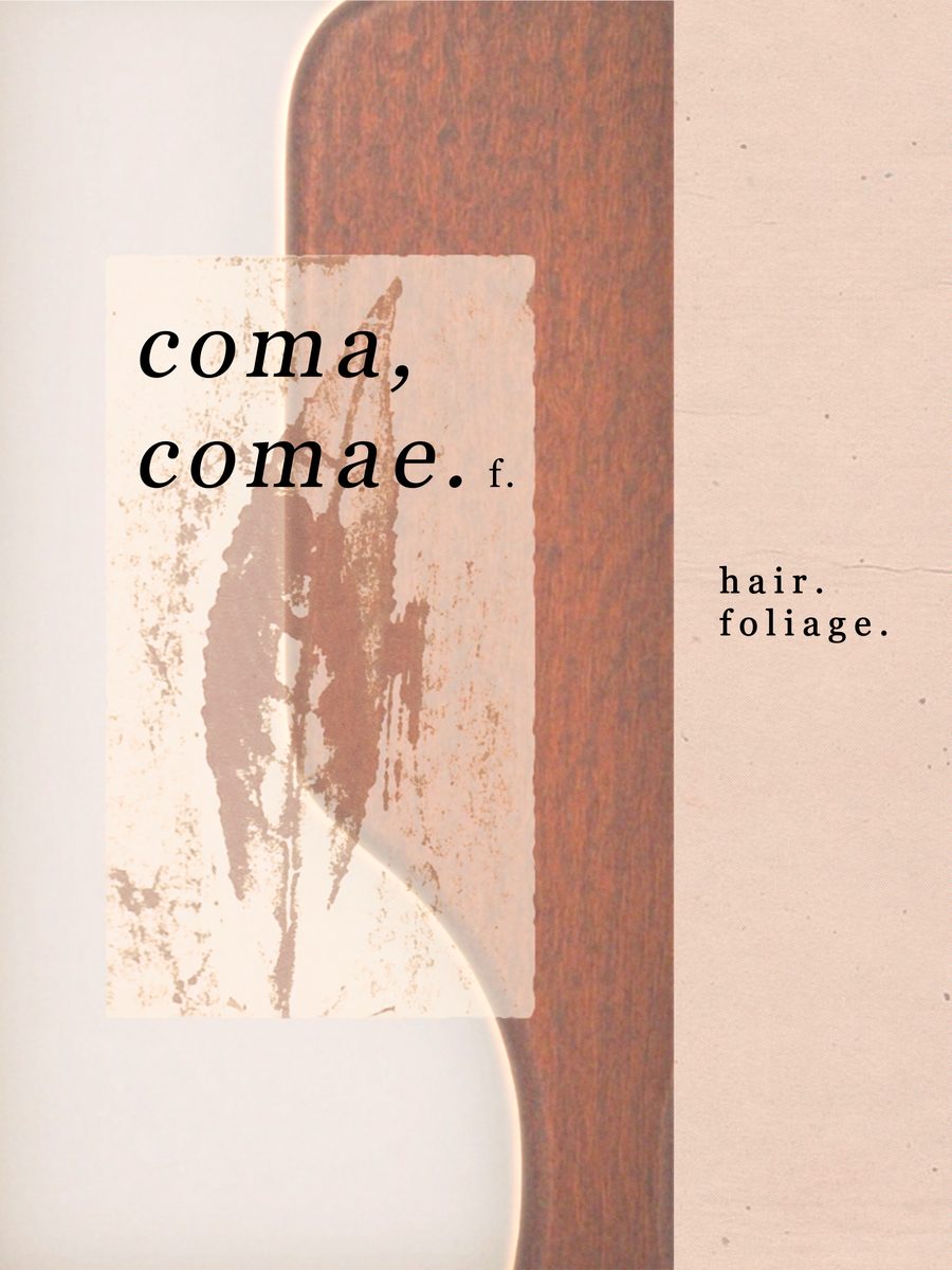 Campaign page: a printed leaf card over a walnut brush handle, set with the Latin dictionary entry coma, comae
