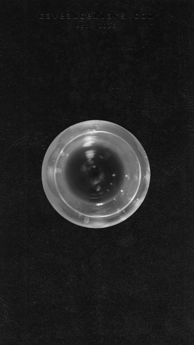 A glass of wine shot from directly above against black