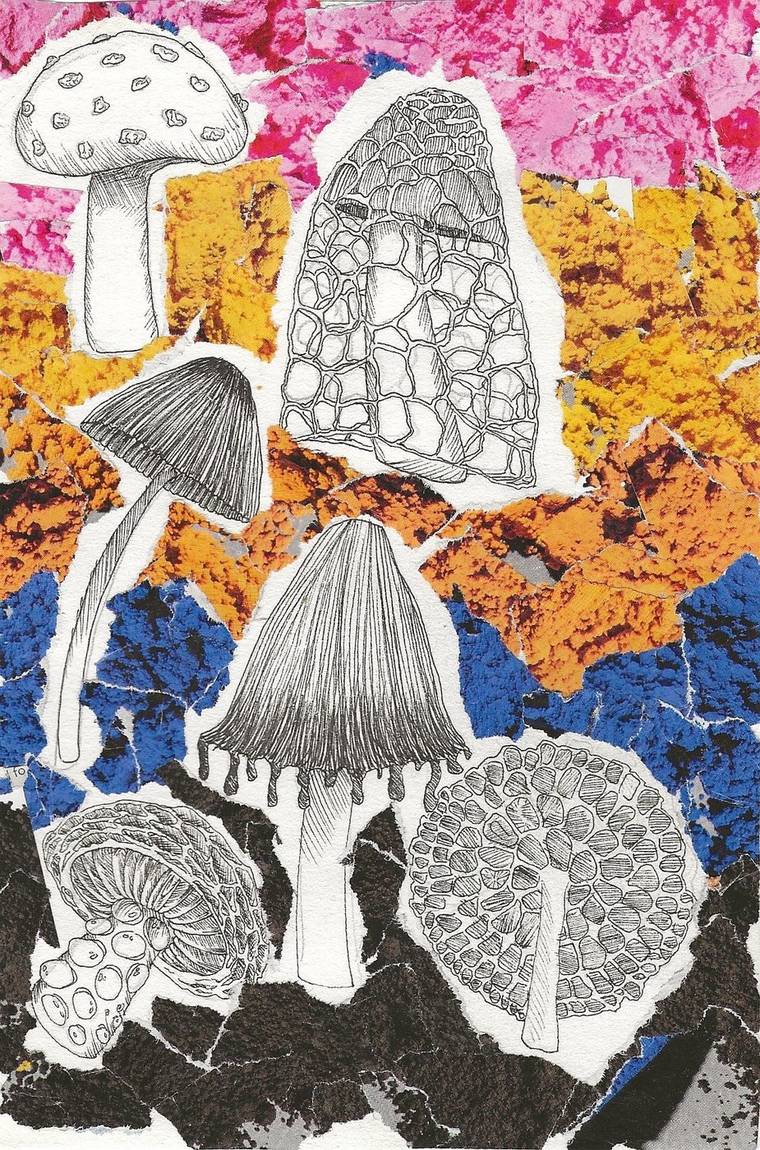 Mixed-media artwork: pen-drawn mushrooms cut out and laid over torn fields of pink, ochre and blue