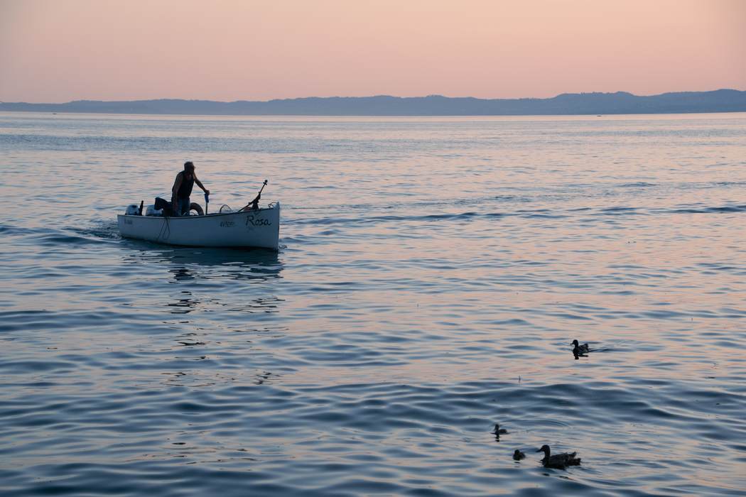 A fisherman steering a small boat past ducks on still water at sunrise